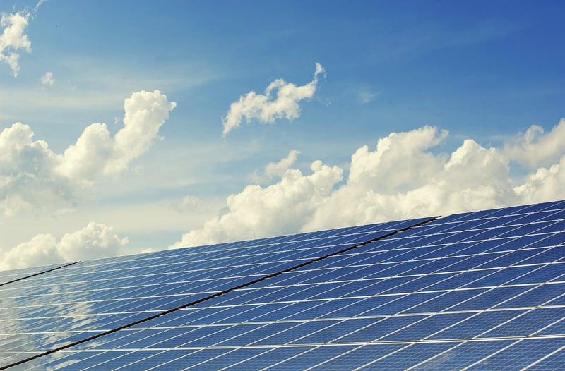 Solar Panels in Nature